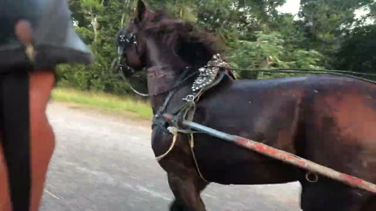 Solton de pilotos 2020