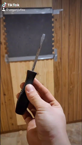 If you can throw a screwdriver ( Banned Tiktok Video ) #shorts