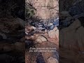 #motivational video showcasing #coloradosprings