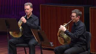 Divertimento No. 15 | Wolfgang Amadeus Mozart | Performance excerpts