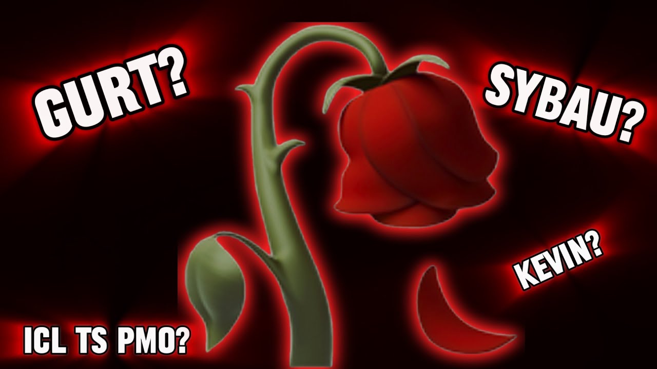 TikTok Slang Explained...