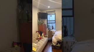 203 Chrystie Apt 3C