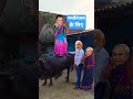 Funny Video ЁЯША Short Viral Bhajpurisong Funny Trending Youtubeshorts Funny Video ЁЯША Short Viral Bhajpurisong Funny Trending Youtubeshorts