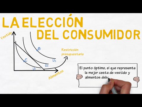 Video: ¿Cuál es el problema del consumidor en economía?