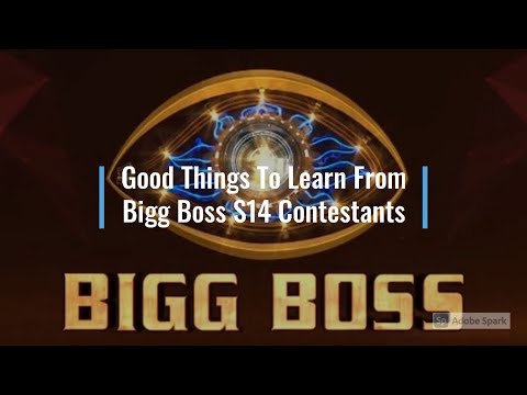 Good Things To Learn From Bigg Boss S14 Contestants