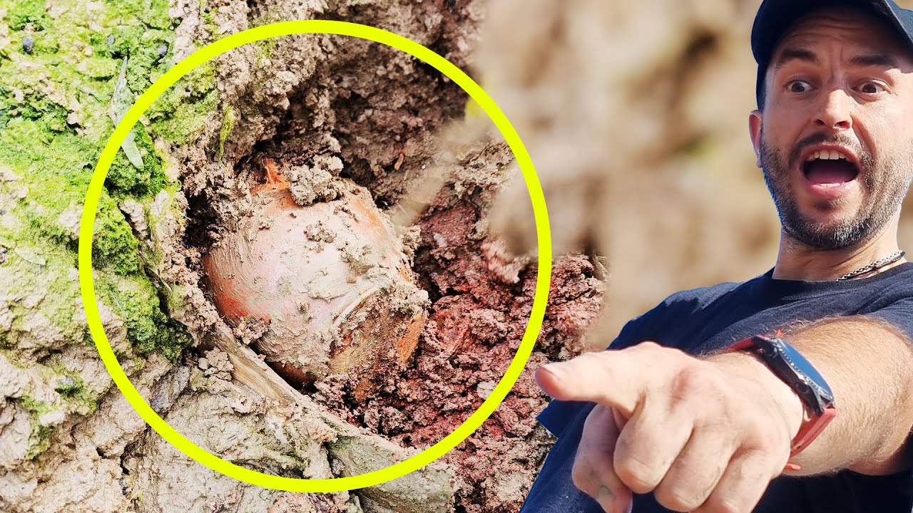 Что мы нашли в грязи? Это спецвыпуск «Острова сокровищ»!