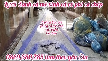 lưới đánh cá 3 màn lưới đánh cá mè vinh cá chép cá rô phi lưới đánh cá ao sông Hồ đầm