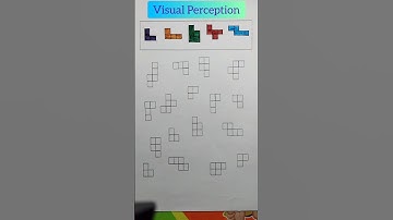 Visual Perception #visualperception #coloridentification #shorts