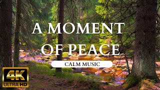 Click and rest. Calm music and the gentle sound of a mountain stream.