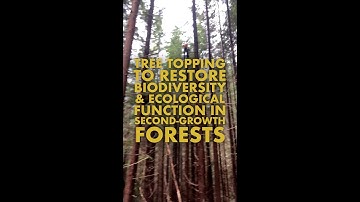 Tree Topping to Restore Biological Diversity and Ecological Resilience in Second-Growth Forests