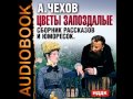 2000810 01 Аудиокнига. Чехов А.П. "Скверная история"