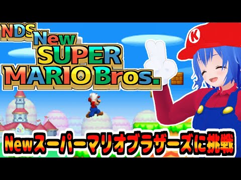 New SuperMarioBros NDS 】 DSの Newスーパーマリオブラザーズ