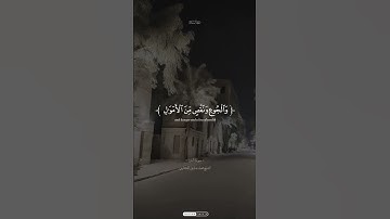 #_quran #اكسبلور #المصحف #_القرآن #حالات_واتس #لايك #_القرآن_الكريم #holyquran #تلاوة #تلاوة_مؤثرة