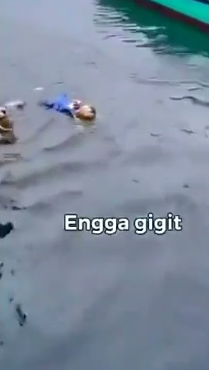 pacar jaman sekarang gak di gigit paling di telen wkwk'#shorts