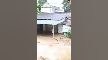 LŨ LỤT MIỀN BẮC quá khủng khiếp rồi bà con ơi là bà con ơi #shorts