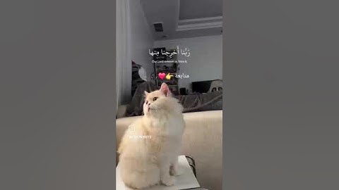 استمع الى القرآن الكريم دقيقة واحدة❤❤❤❤❤