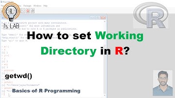 R Environment and Setting Working Directory in R [R04]