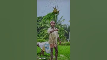 Backbone of Nation | Farmer special 4k full screen WhatsApp status video ❤️❤️ #shorts #farmers