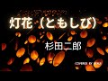 灯花(ともしび)