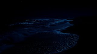 Ocean Waves Sounds at Night | Listen to Fall Into Healing Sleep Immediately with Ocean Wave Sounds