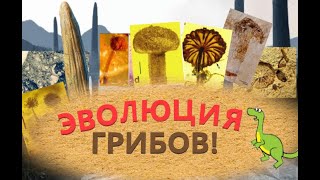 Эволюция ГРИБОВ! От кого произошли грибы?