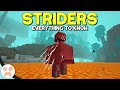 Minecraft's New LAVA STRIDER MOB! | Complete Strider Guide - Minecraft 1.16 Nether Update