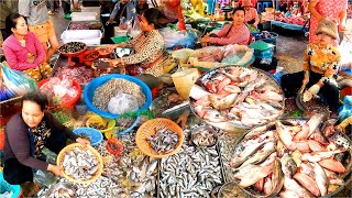 Fish Market. Good Fresh Fish Cutting Techniques, Chbar Ampov Market. Cambodian Fish Market