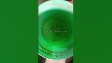 Nigerian client feedback of fish feed machine 300KG/H #fishfarming #fishfeedmachine