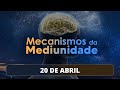 LIVRO DOS MÉDIUNS: VOCÊ CRÊ NAQUILO QUE NÃO VÊ? | Mecanismos da Mediunidade