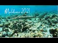 Maldives Underwater 2021 (Maafusi, Embudu)
