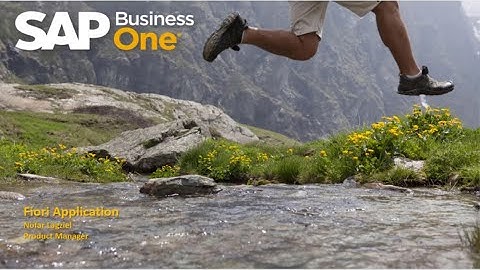 Web Client Fiori Worklist Extension