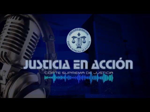 Justicia en Acción 213-2018 del 29.11.18