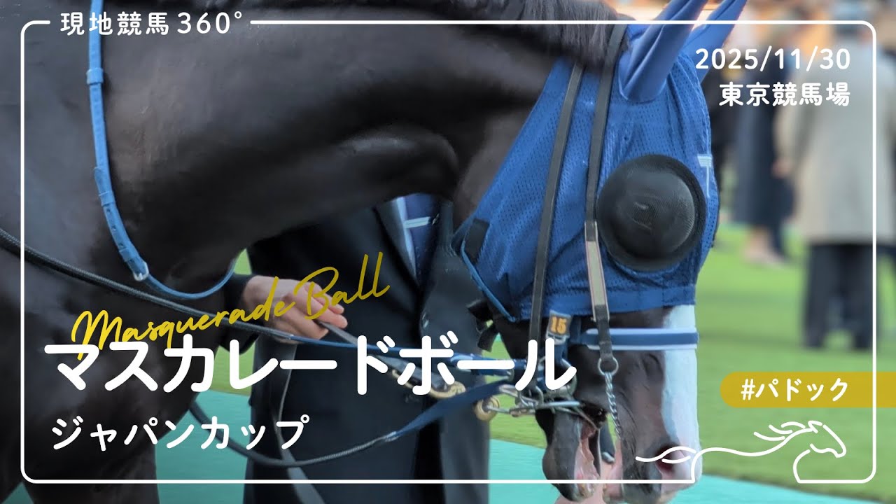 マスカレードボール | ジャパンカップ | パドック | 2025/11/30 | 東京