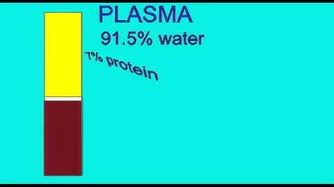 AP2 EXAM1: BLOOD: ALBUMIN.avi