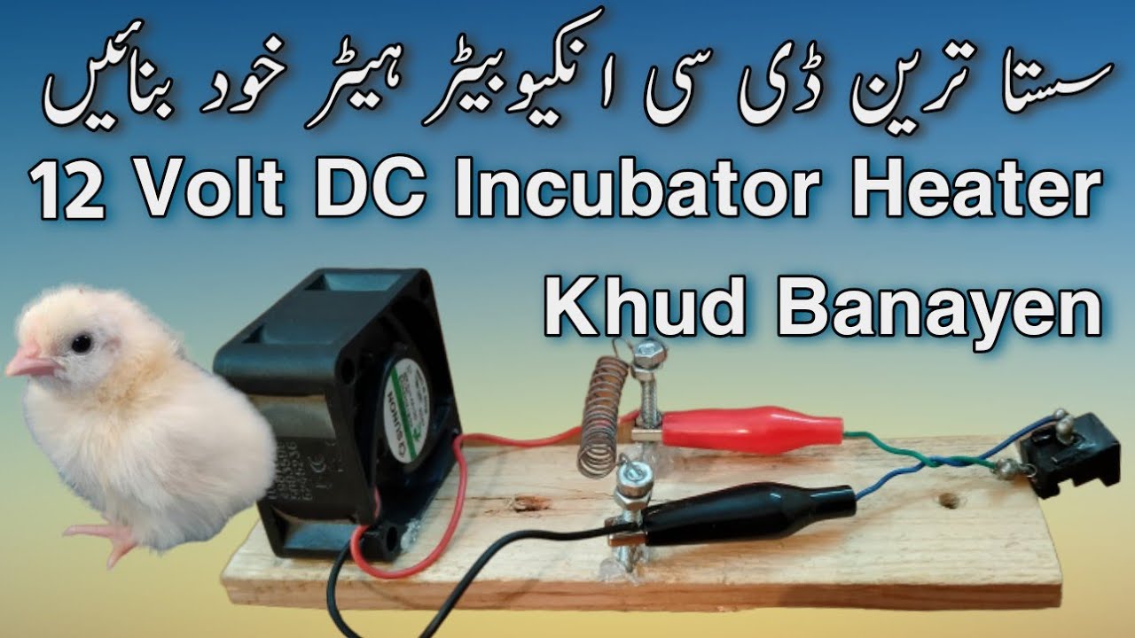 DC Incubator Heater | 12 volt heater | Cheap DC heater Urdu Hindi
