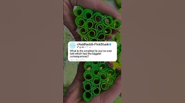 What is the smallest lie you