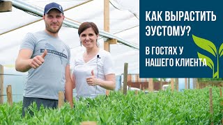 ВЫПУСК #1   Как вырастить ЭУСТОМУ?