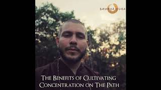 The Benefits of Cultivating Concentration