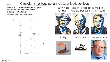 Neuroscience Keynote Webinar: Circadian time-keeping in the brain - Michael Hastings