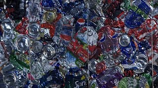Centerville and Rumpke Recycling: How Recycling Works