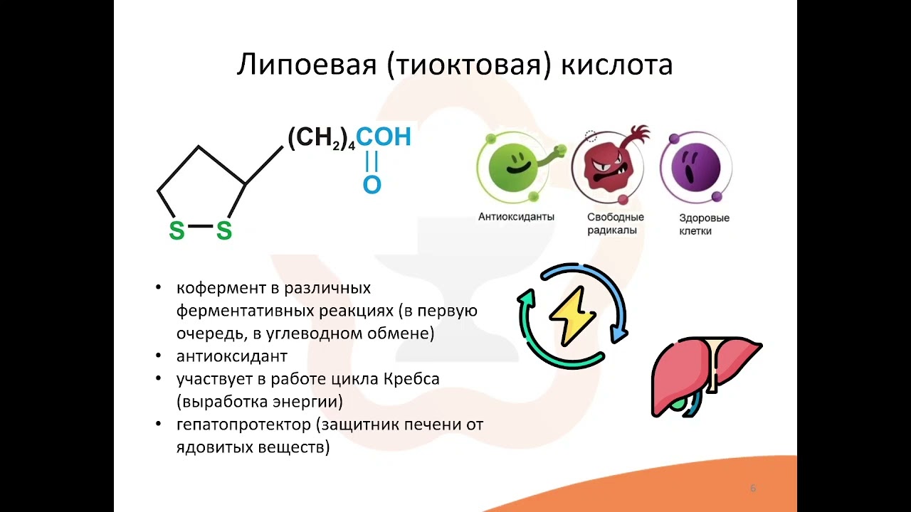 11. Витаминоподобные соединения
