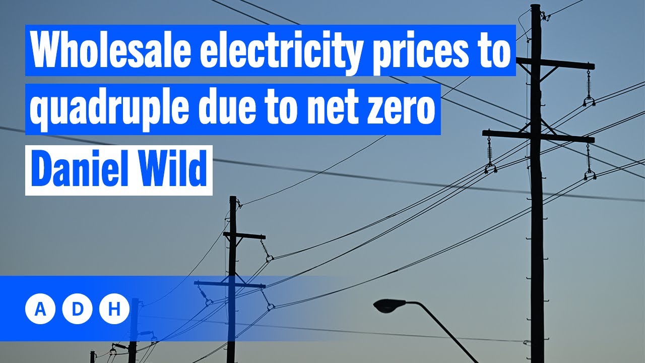 ⁣Wholesale electricity prices to quadruple due to net zero: Daniel Wild from the IPA | Alan Jones