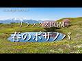 【春のボサノバ】ゆっくりなボサノバで春の訪れを感じる｜リラックスBGM｜作業用BGM｜