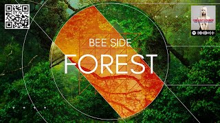 The Lost Sock Blues - Bee Side - Forest #officinasonora #chillout #lounge