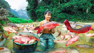 Harvesting A Lot Of Big Fish Goes To Market Sell  Farm life | Tiểu Vân Daily Life