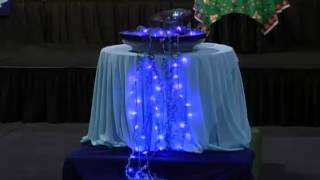 2014 Synod Assembly - Plenary 1