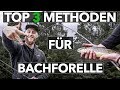 3 Methoden, um ERFOLGREICH auf BACHFORELLEN zu angeln! 🎣 Einsteiger-Tutorial 👌🏻