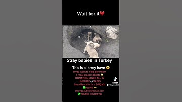 Wait for it!👀 #shorts