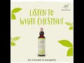 Listen to Bach Original Flower Remedy White Chestnut