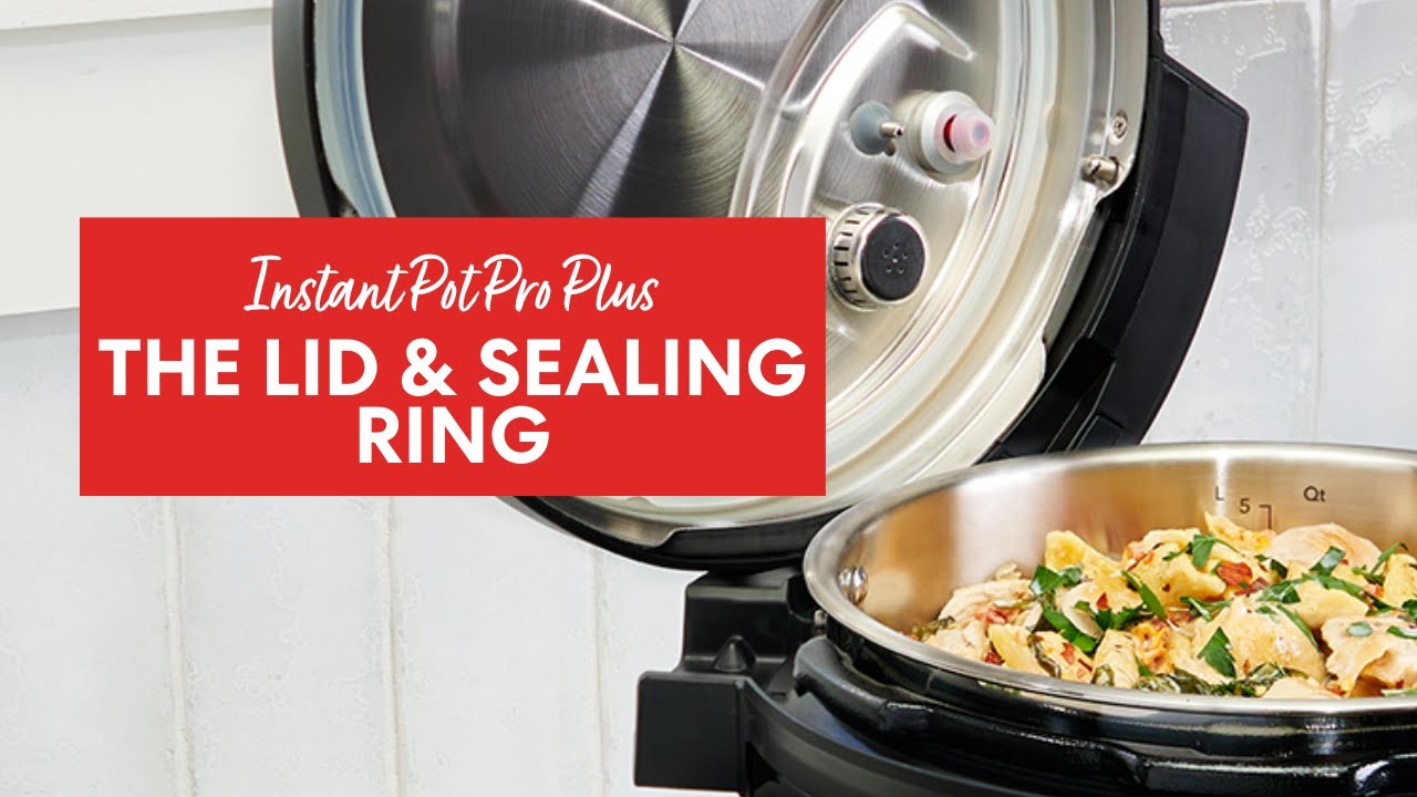 Instant Pot Pro Plus - The lid and sealing ring 